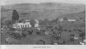 farm and cattle view