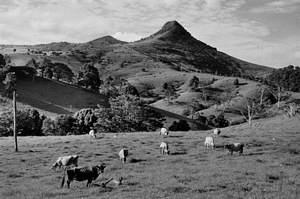 farm, Chincogan in backgrouns