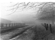 misty road home