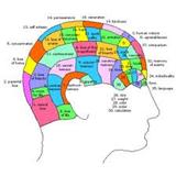 phrenology map #1